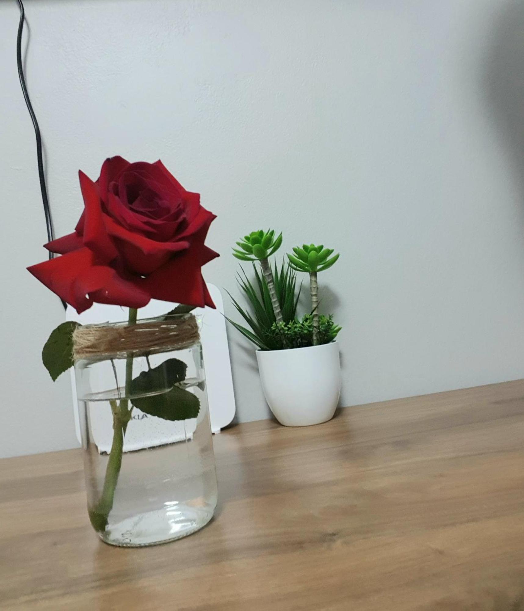 Nevila'S Apartment تيرانا المظهر الخارجي الصورة
